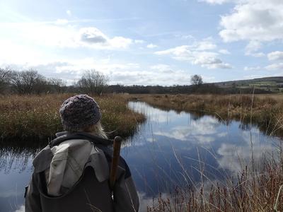Le réveil de la tourbière