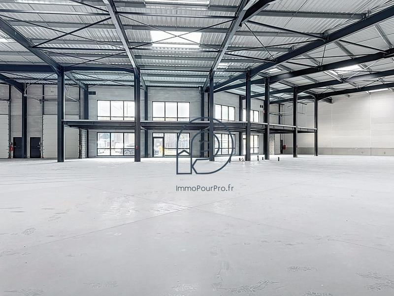 Local d'activités - 851 m²