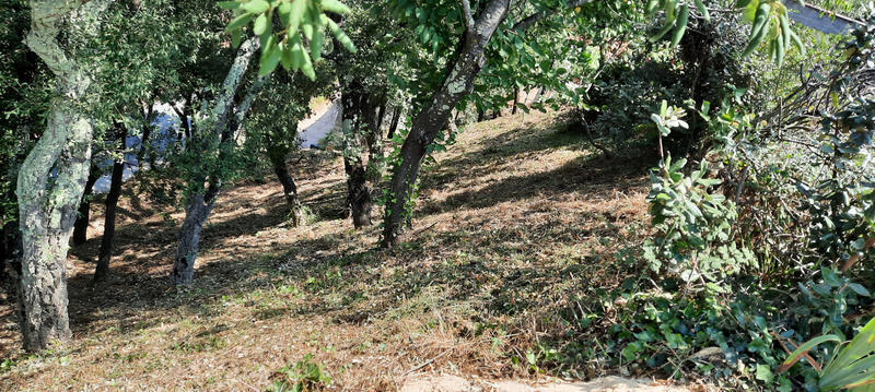 Maison - 106 m² - 4 pièces