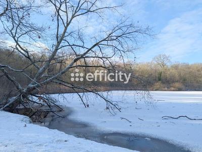 Appartement - 60 m² - 2 pièces