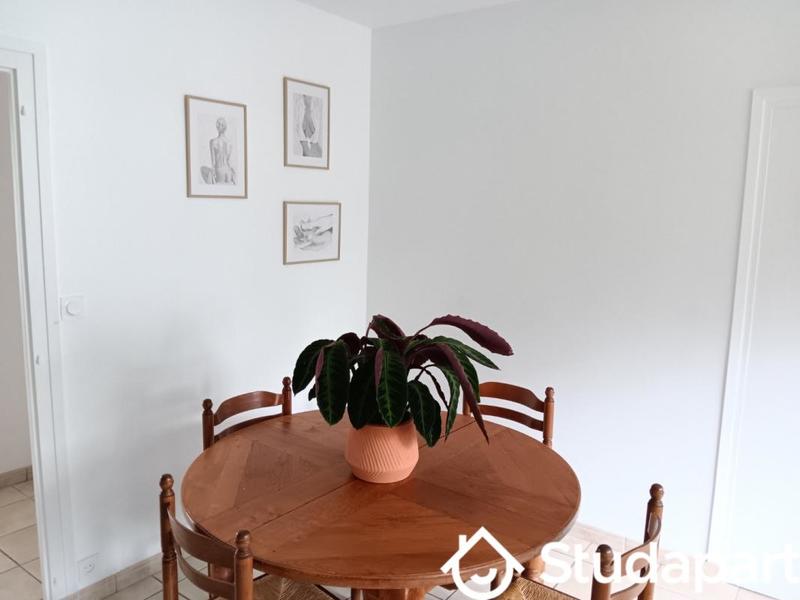 Chambre - 11 m² - 1 pièce