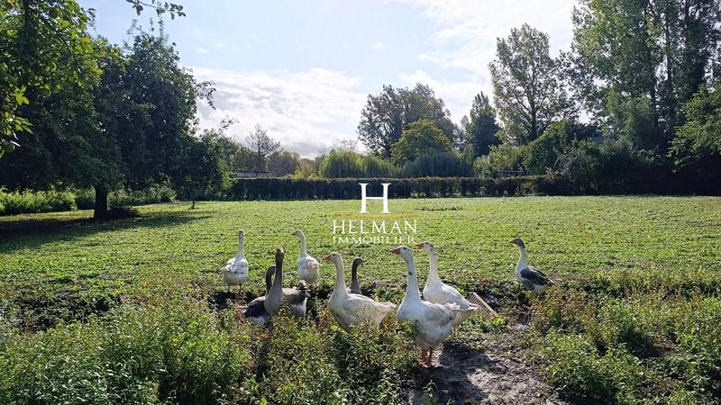 Maison - 311 m² - 12 pièces