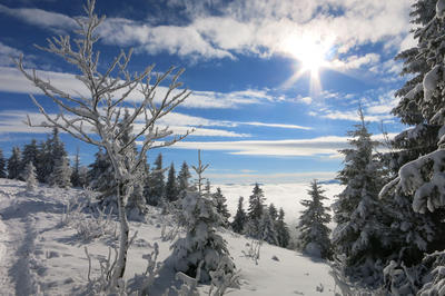 Club Vosgien : Randonnée raquettes des Trois Fours au Hohneck