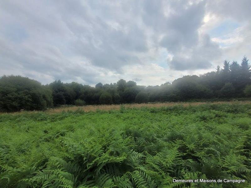 Maison ancienne - 40 m² - 1 pièce