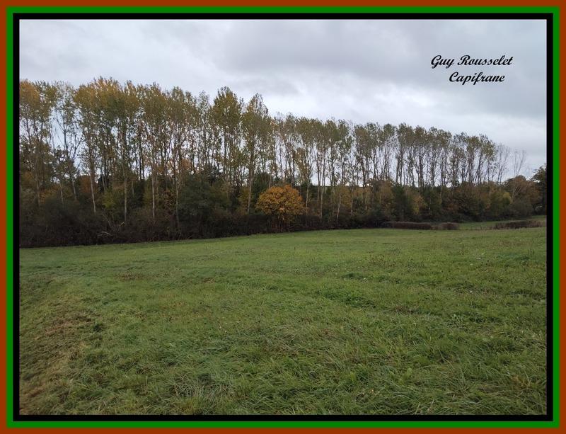 Propriété - 93 m² - 4 pièces