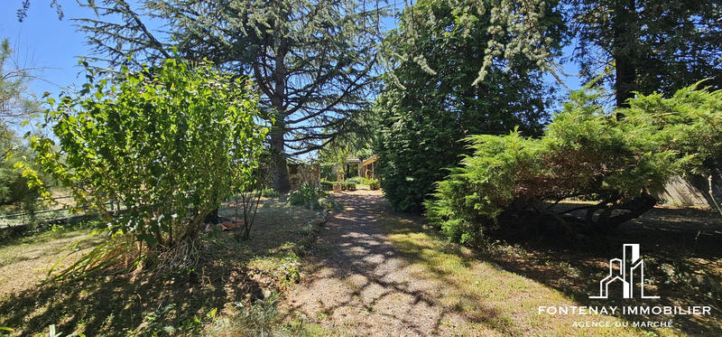 Maison ancienne - 147 m² - 6 pièces