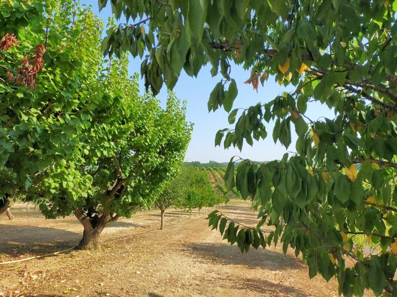 Maison de maîtres - 330 m² - 6 pièces