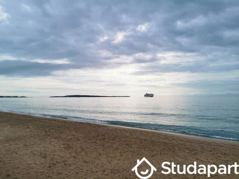 Appartement - 25 m² - 1 pièce