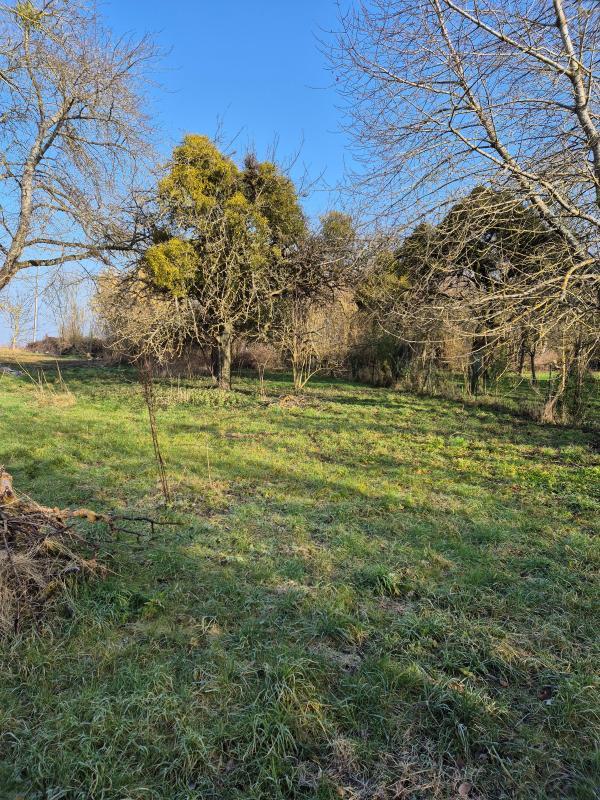 Terrain constructible - 1 303 m²