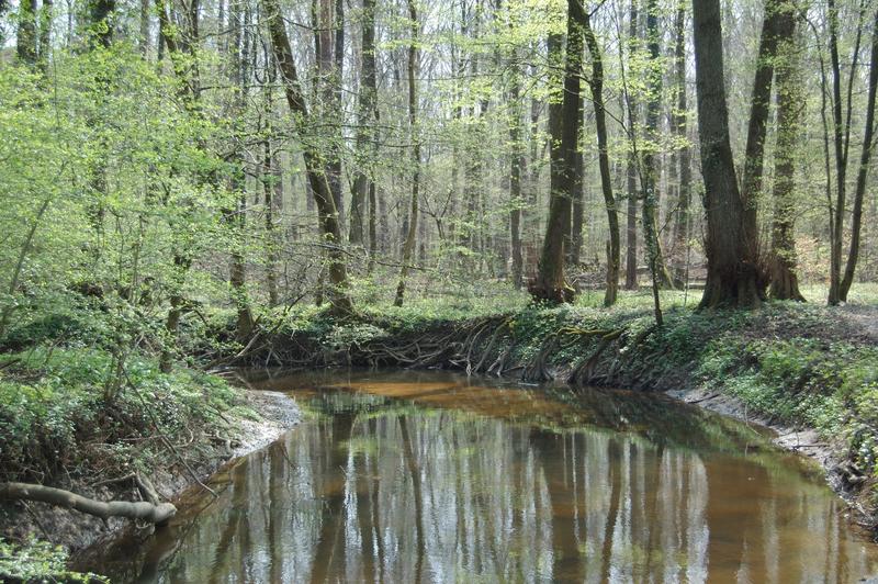 Exposition : Valérie Meyer et Ernest Barth