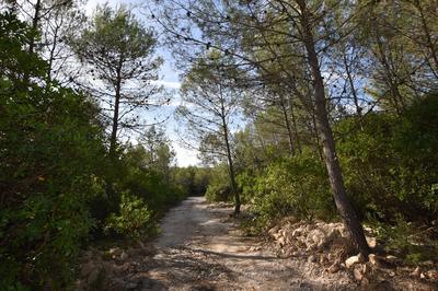 Terrain de loisirs - 1 530 m²