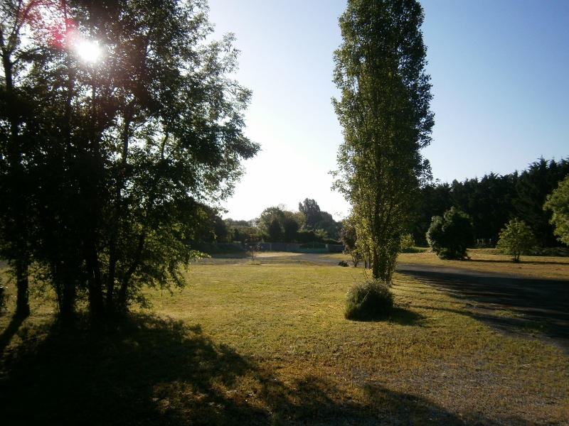 Local d'activité / Entrepôt - 300 m²