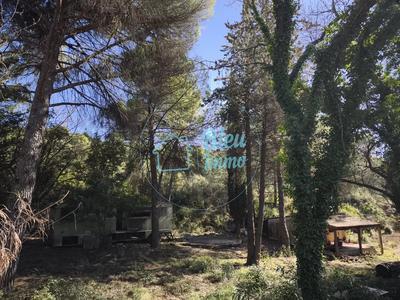 Terrain constructible - 2 489 m²