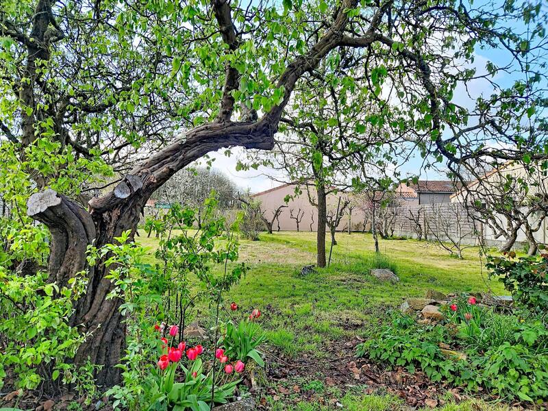 Maison - 101 m² - 5 pièces