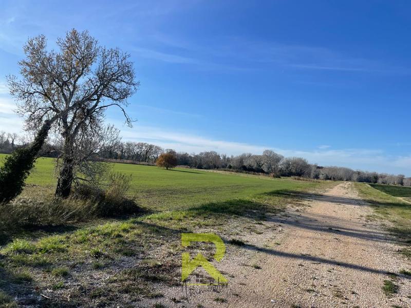 Mas - 294 m² - 8 pièces