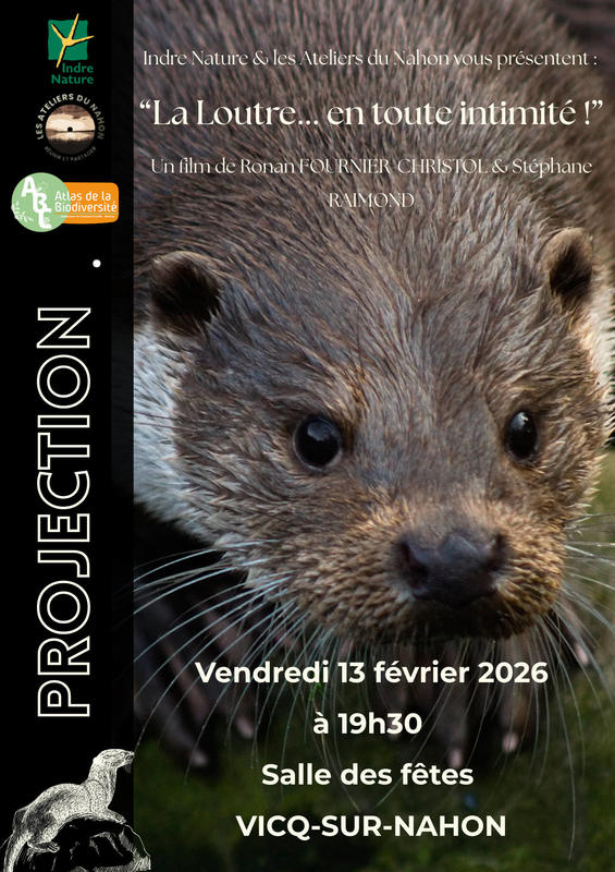 Projection du Film « La loutre en toute intimité »