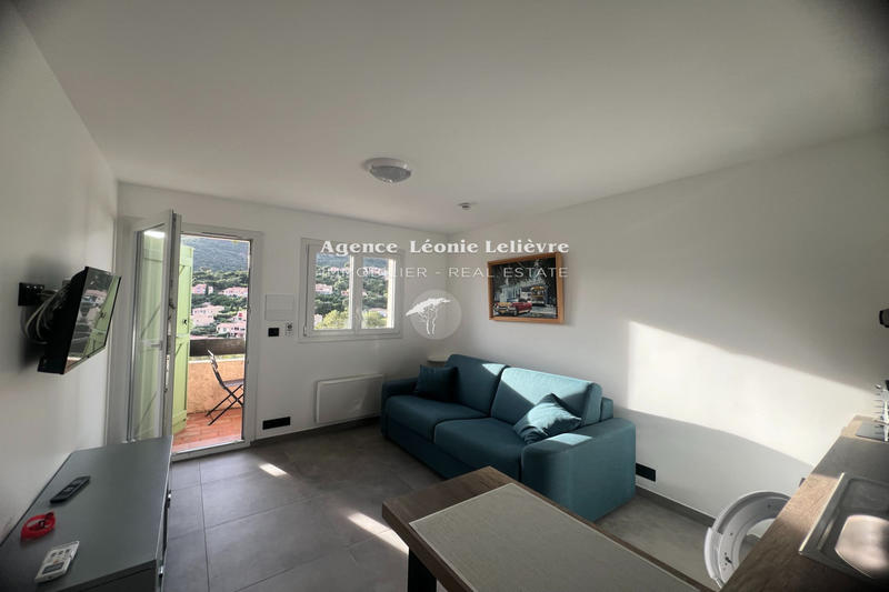 Appartement - 19 m² - 1 pièce