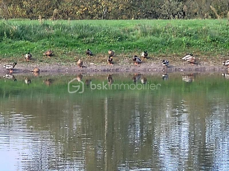 Propriété - 141 m² - 5 pièces