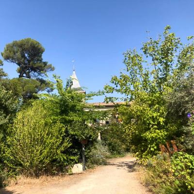 Angèle Fichaux Ostéopathe