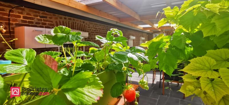 Maison - 227 m² - 9 pièces