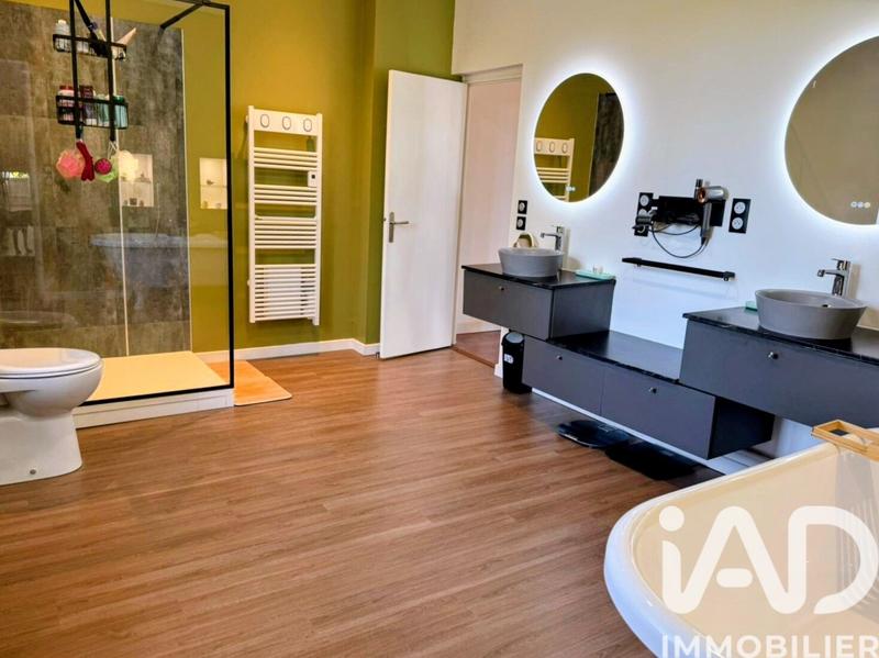 Château - 480 m² - 12 pièces