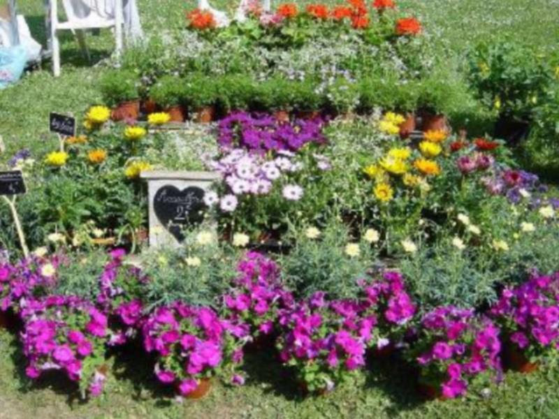 Fête des plantes et de la nature