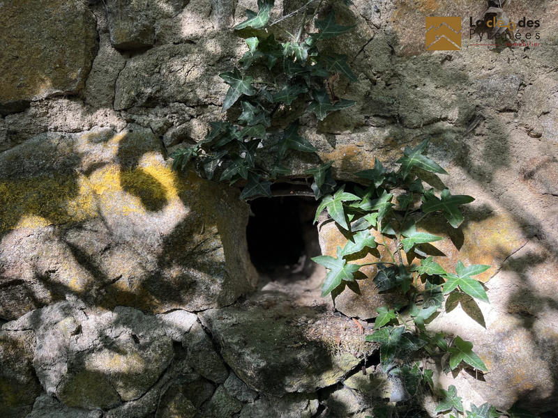 Maison ancienne - 70 m² - 2 pièces