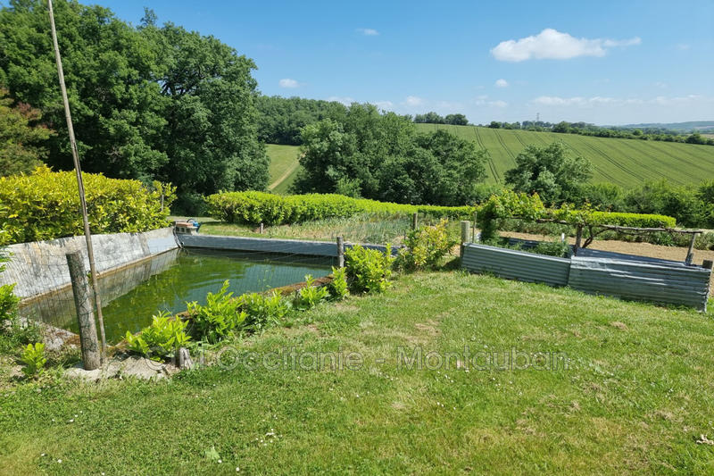 Maison - 275 m² - 8 pièces