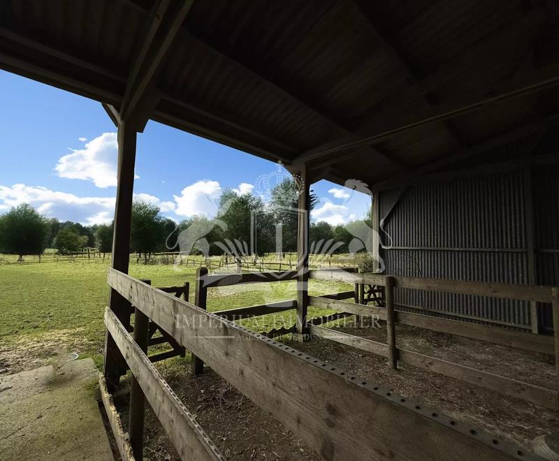 Haras - 200 m² - 5 pièces