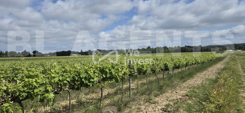 Terrain - 190 000 m²