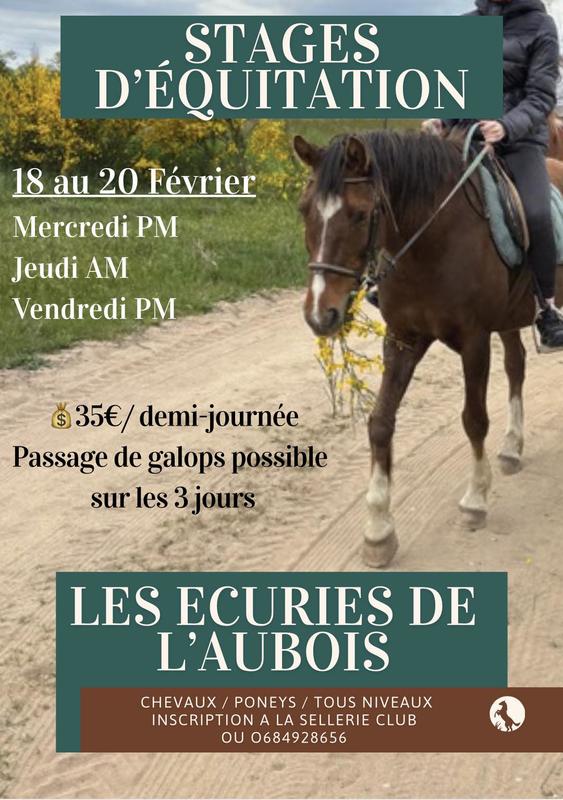 Stage d'équitation