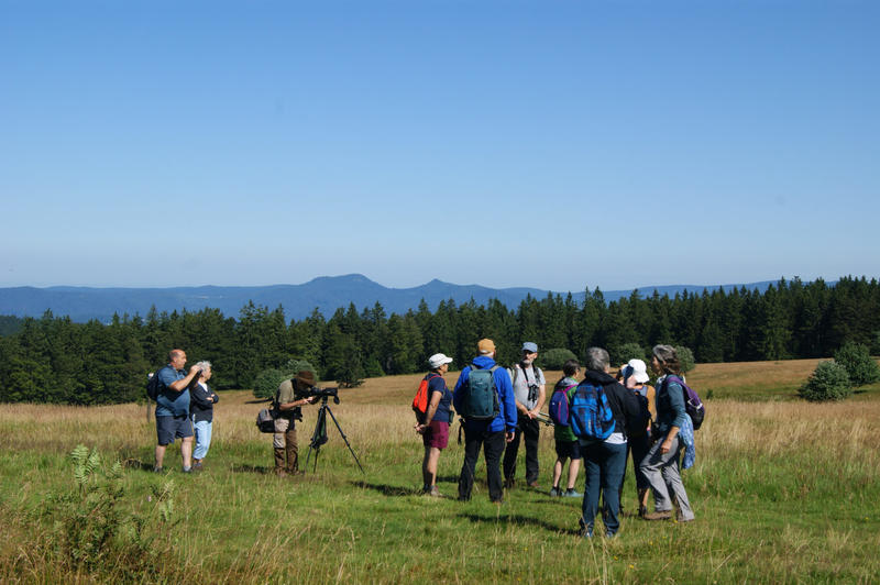 Sentiers Plaisir : Observation des oiseaux