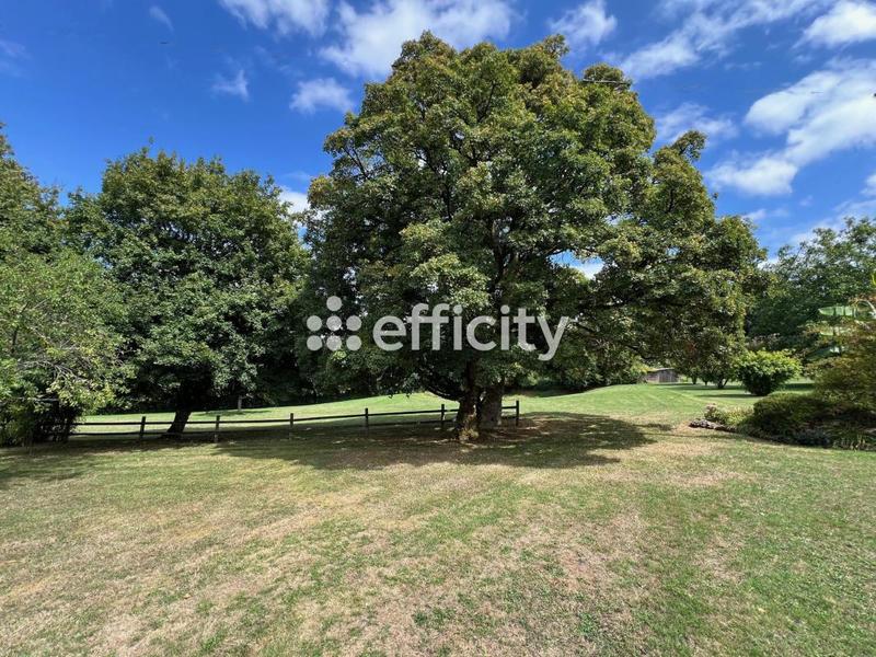 Pavillon - 116 m² - 5 pièces