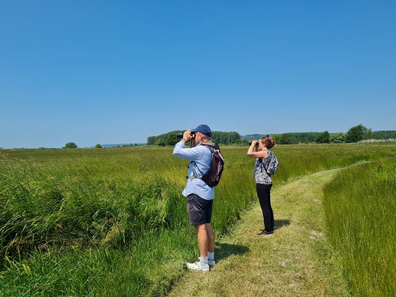 Balade à la découverte des papillons et autres petites bêtes du marais de la Touques.