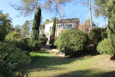 Viager - Maison - 280 m² - 7 pièces