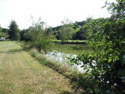 Terrain - 12 496 m²