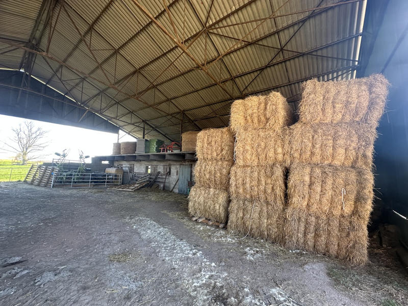 Ferme - 190 m² - 5 pièces