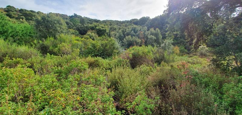 Terrain constructible - 3 000 m²