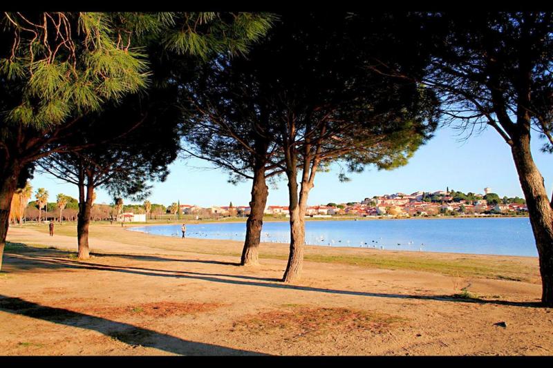 Appartement - 56 m² - 4 pièces