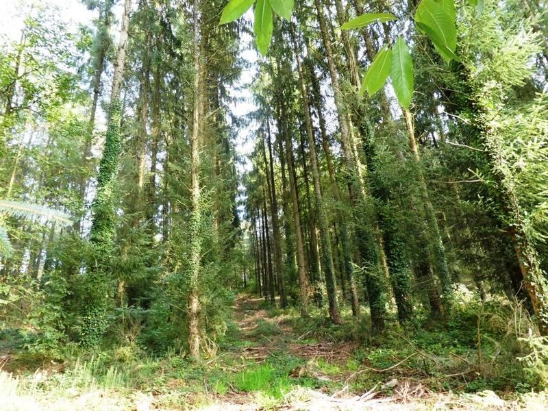 Terrain agricole - 13 280 m²