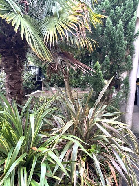 Maison - 114 m² - 6 pièces