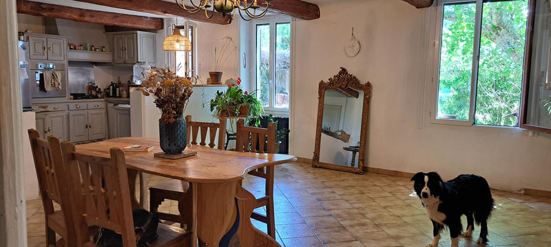 Mas - 192 m² - 7 pièces