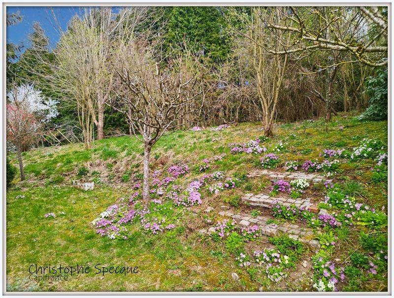 Maison - 143 m² - 6 pièces