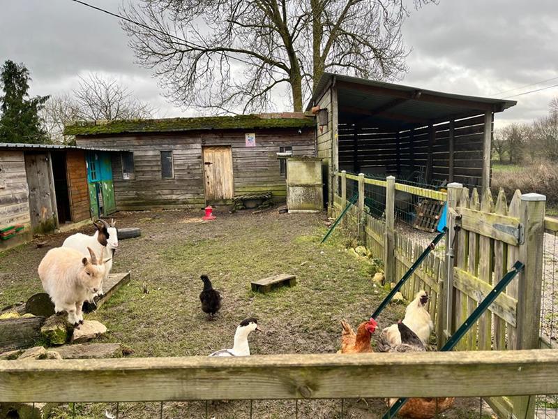 Maison - 98 m² - 4 pièces