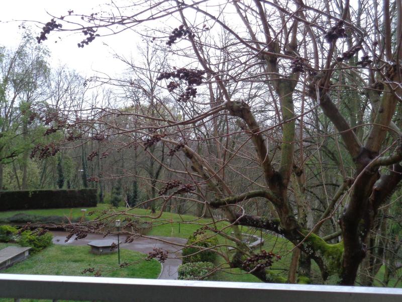 Appartement - 87 m² - 5 pièces