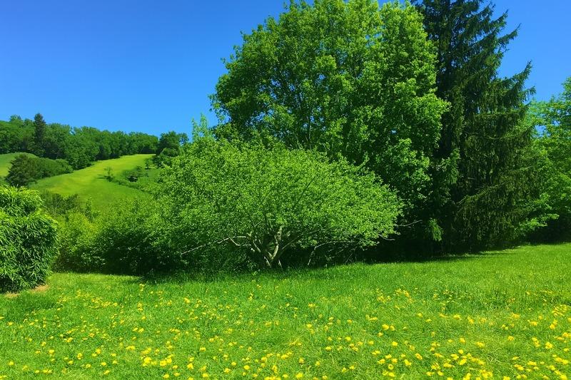 Terrain constructible - 1 816 m²