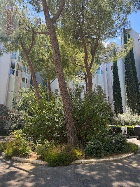 Appartement - 100 m² - 5 pièces