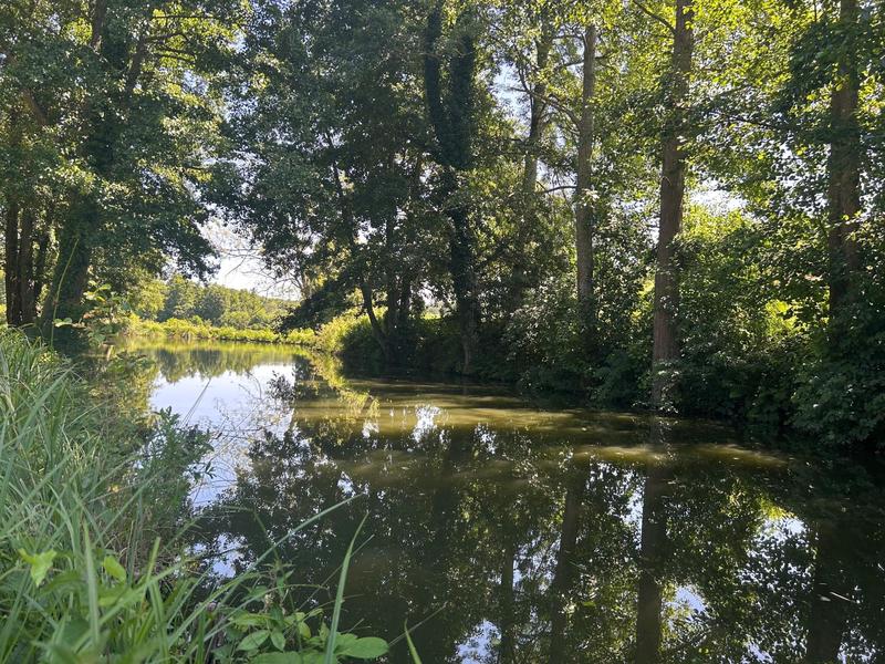 Maison - 371 m² - 7 pièces