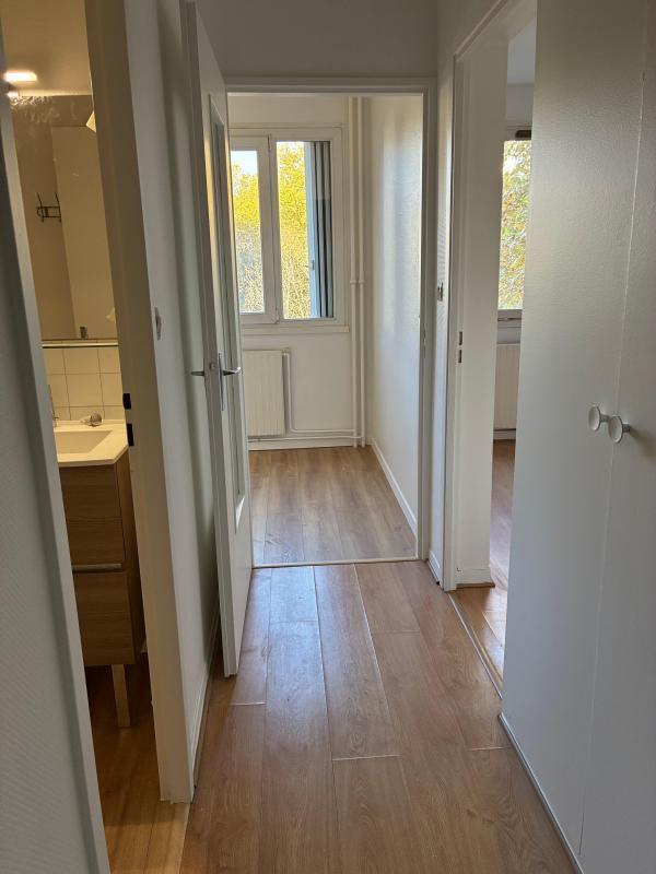 Studio - 31 m² - 1 pièce