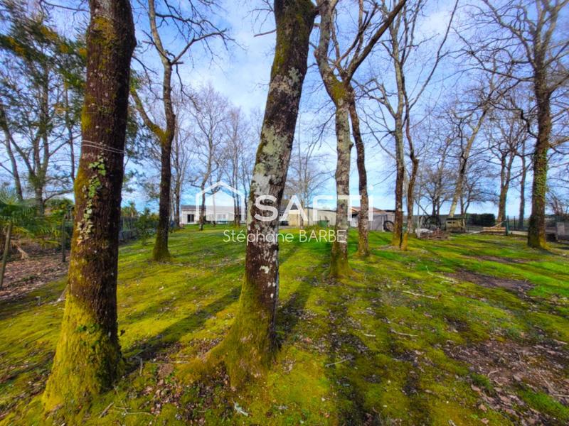 Maison - 108 m² - 4 pièces